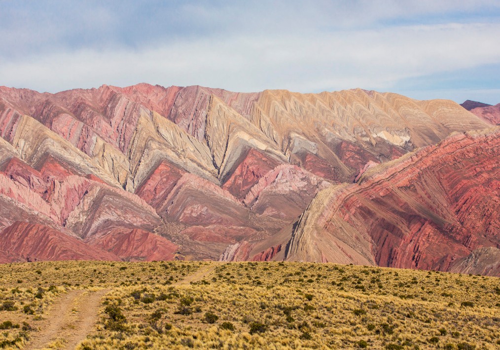 hornocal-1.jpg
