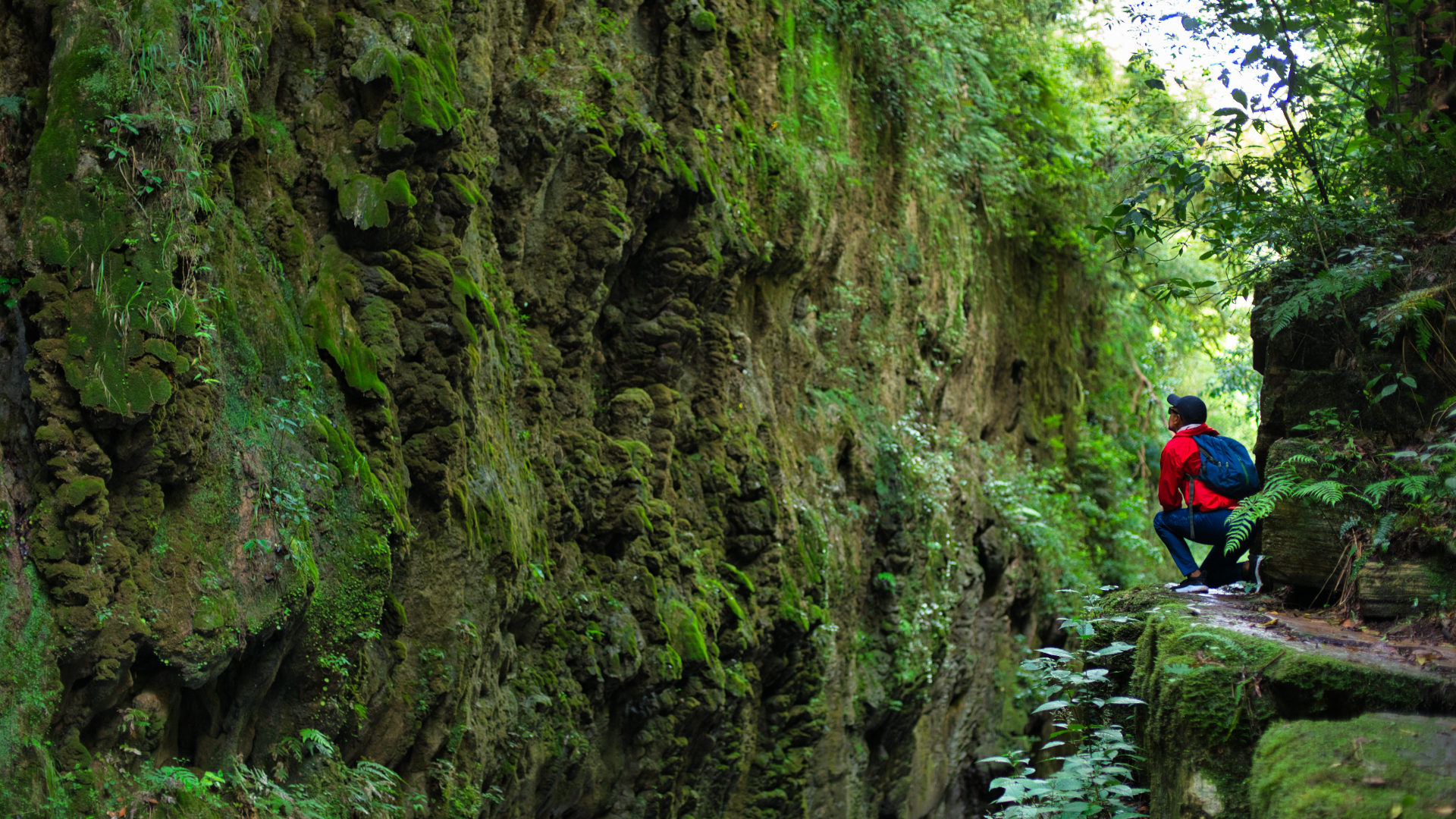 San Francisco - Refugio del Tapir - Naturaleza - Trekking .png