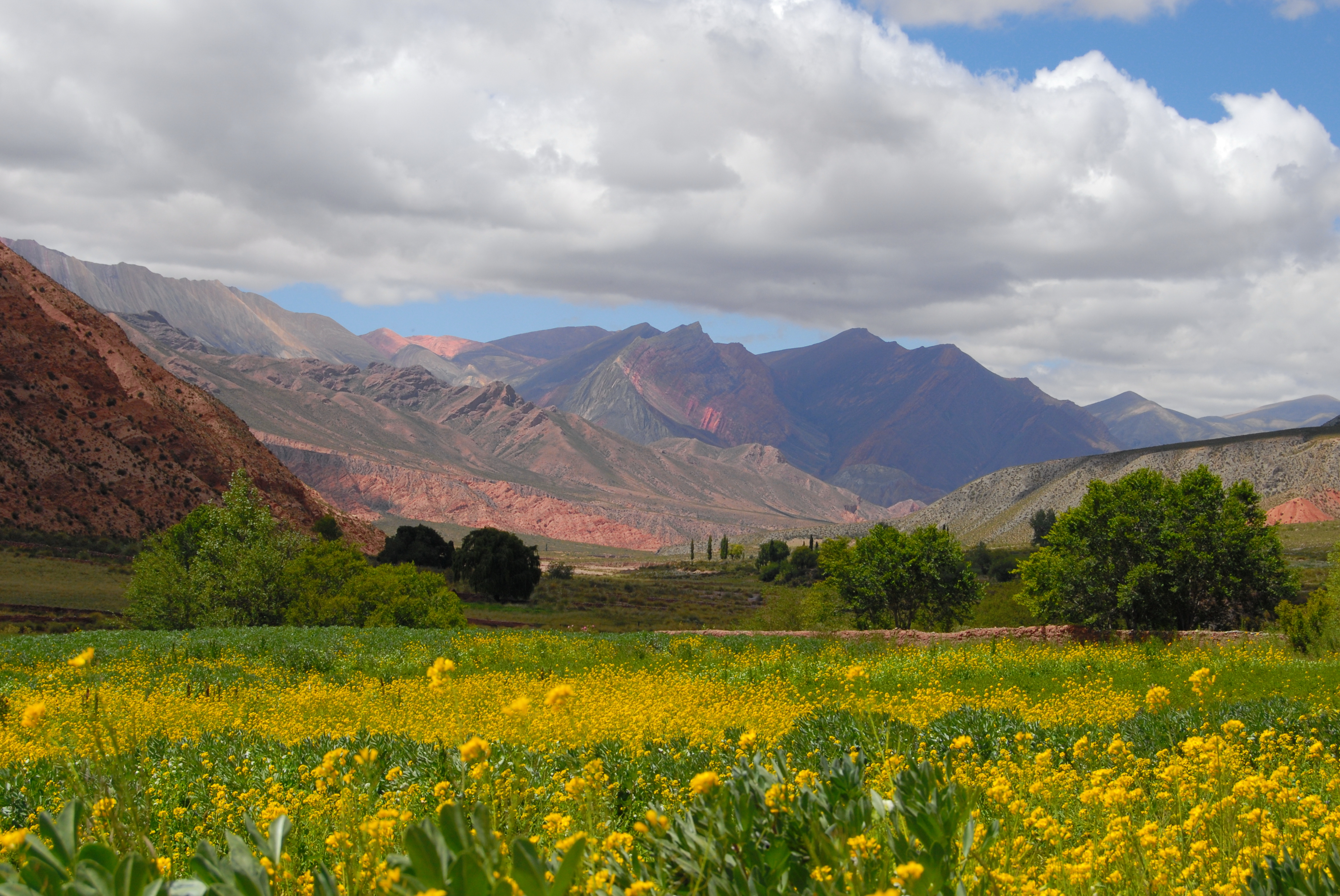 Cianzo, Humahuaca..JPG