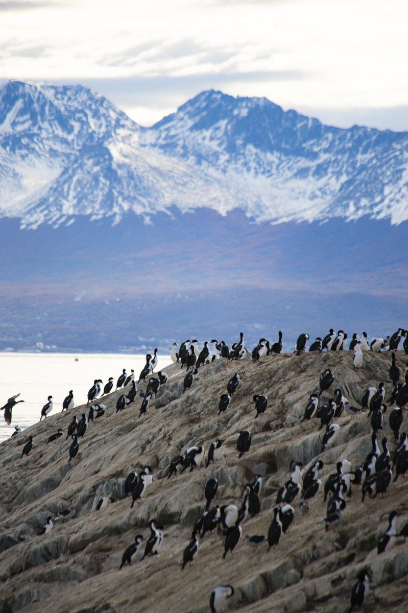Ushuaia Profunda