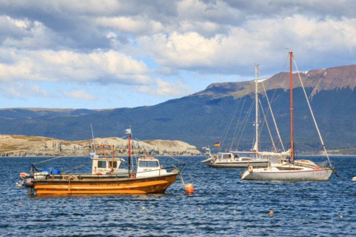 PUERTO ALMANZA Y AVISTAJE DE PINGUINOS